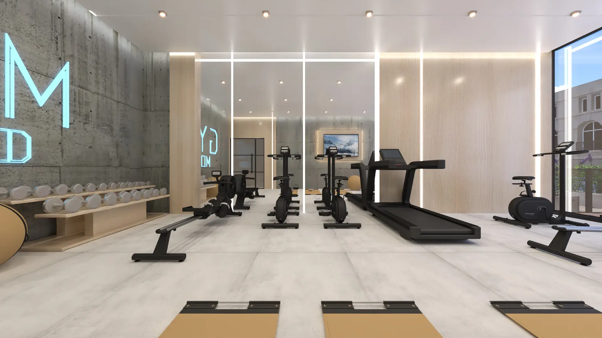Gym shown in the NEWBURY DEVELOPMENTS "Chapter 01" project catalogue, Warsan 4, Dubai
